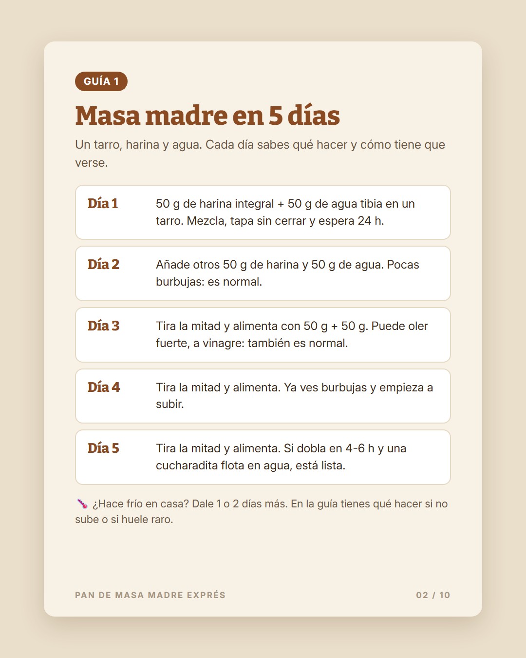 Pan de Masa Madre Exprés · 2
