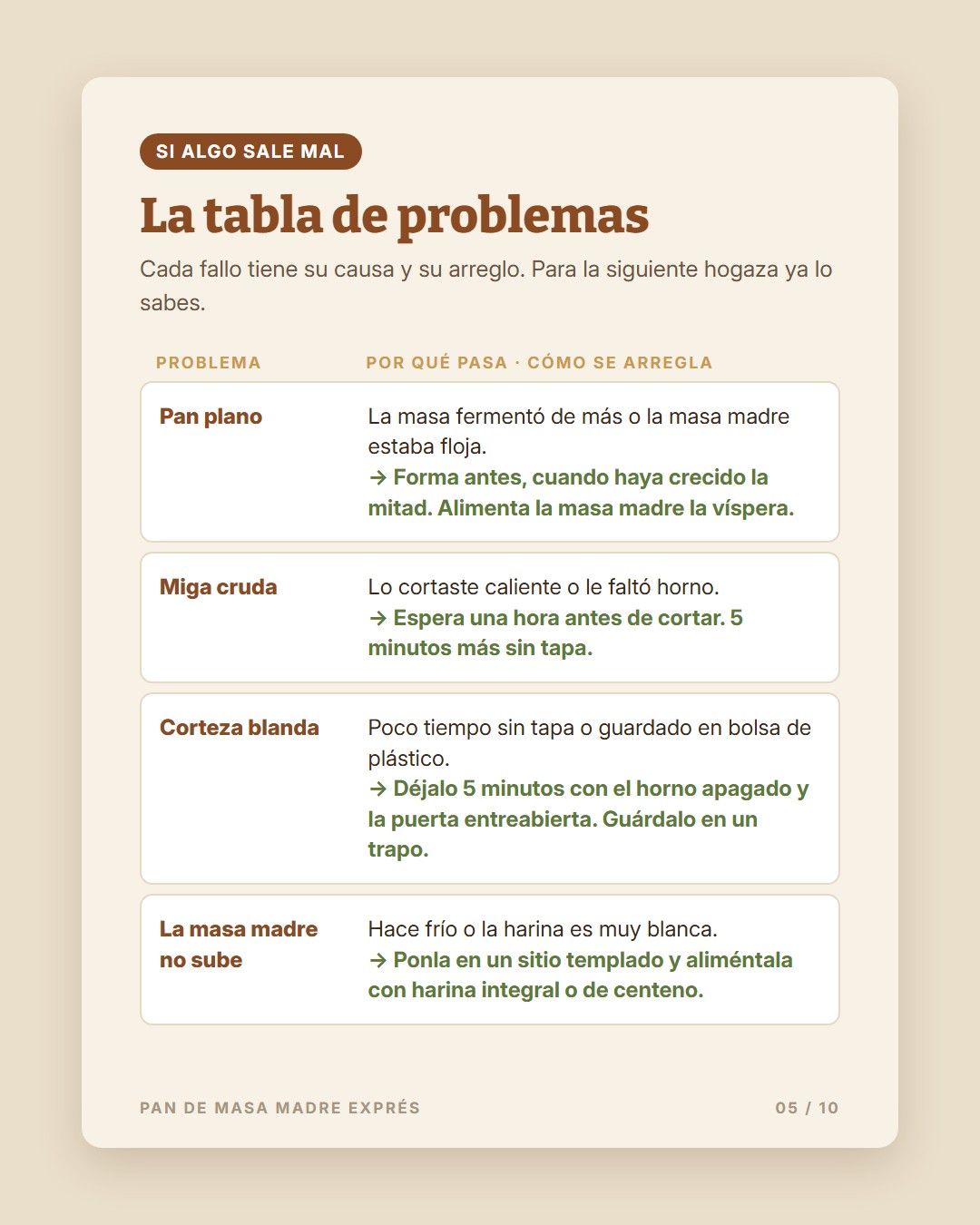 Pan de Masa Madre Exprés · 5